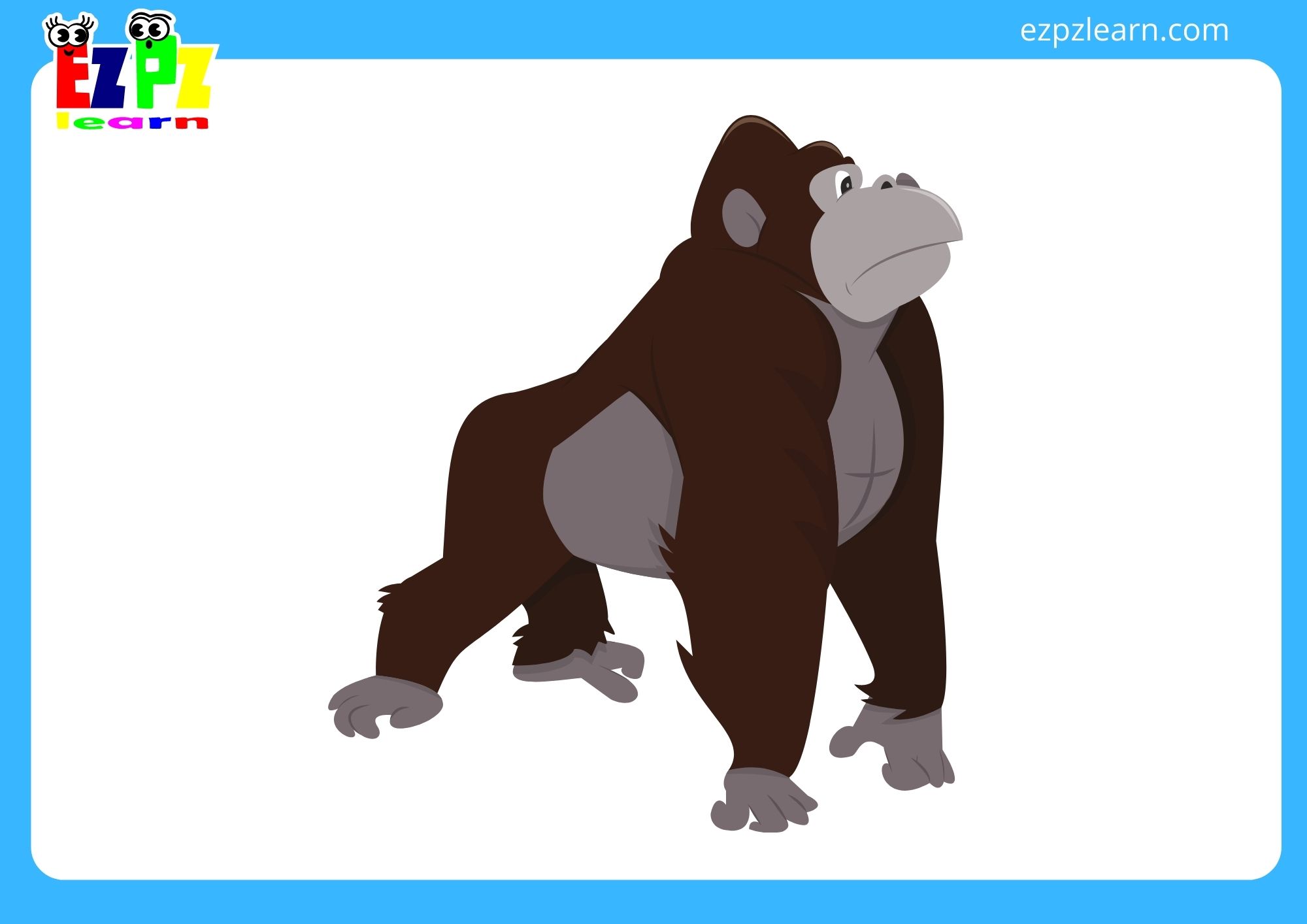 gorilla